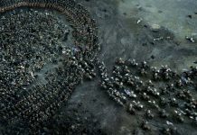 Comienza la batalla entre NVIDIA y AMD Guerra Nvidia AMD